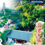 榴园清风ico