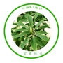 宜春林业ico