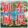 颍东城投ico