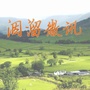 洇溜微讯ico