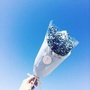 动图音乐相册ico