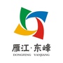 东峰全搜索ico