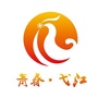 青春弋江ico