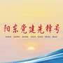 阳东党建先锋号ico