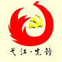弋江先锋ico