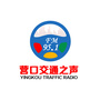 营口951交通之声ico