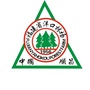福建省洋口国有林场ico