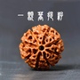 一颗菩提籽公众号ico