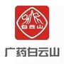 白云山盈康药业ico