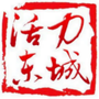 东城试验区ico