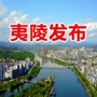 夷陵发布公众号ico