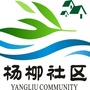 达川区杨柳街道杨柳社区ico