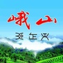 生态魅力峨山ico