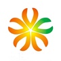 温江永宁路社区青年ico