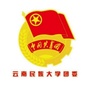 云南民大共青团ico