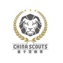 云南童子营教育科技发展有限公司公众号ico