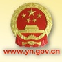云南省人民政府网ico
