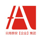 云南泰安企业ico