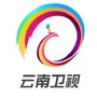 云南卫视ico
