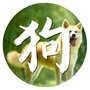 生肖狗运势天天看ico