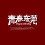 青春东莞ico