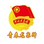 青春龙泉驿ico