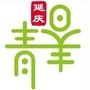 青春延庆ico