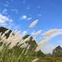 悠然见四合ico