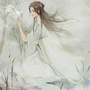 霜月红枫公众号ico