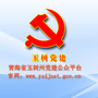 玉树党建ico