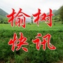 陇南徽县榆树乡ico
