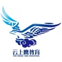 云上鹰培训学校ico