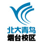 北大青鸟烟台中北校区ico