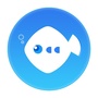 鱼塘式营销ico