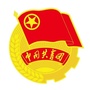 天津医科大学临床医学院团委ico