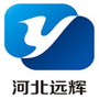 河北远辉医药科技有限公司ico