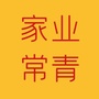 家业常青ico