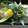 育畅茶道花艺ico