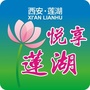 悦享莲湖ico