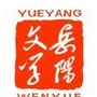 岳阳文学ico