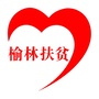 榆林扶贫ico