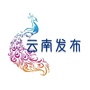 云南发布ico