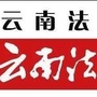 法眼保山ico