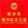 渝水区总工会ico