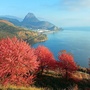 玉溪文旅ico