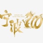 宁波100越野赛ico