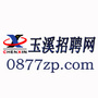 玉溪招聘网ico