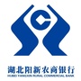 阳新农商银行ico