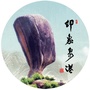 印象泉港ico