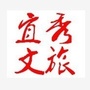 宜秀文旅ico